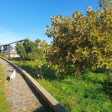 Asinara Villa Sassari Buitenkant foto