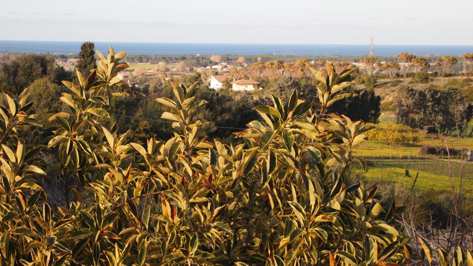 Asinara Villa Sassari Buitenkant foto