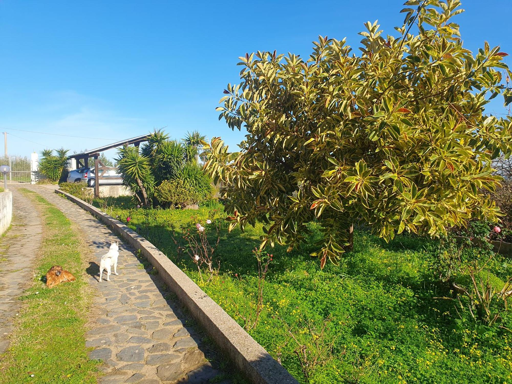 Asinara Villa Sassari Buitenkant foto